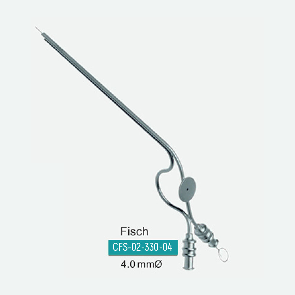fisch
